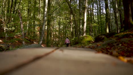 camera sitting on the ground filming a hiker who walks away from the camera on a foot bridge