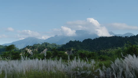 hermoso paisaje con montañas en el fondo. portátil