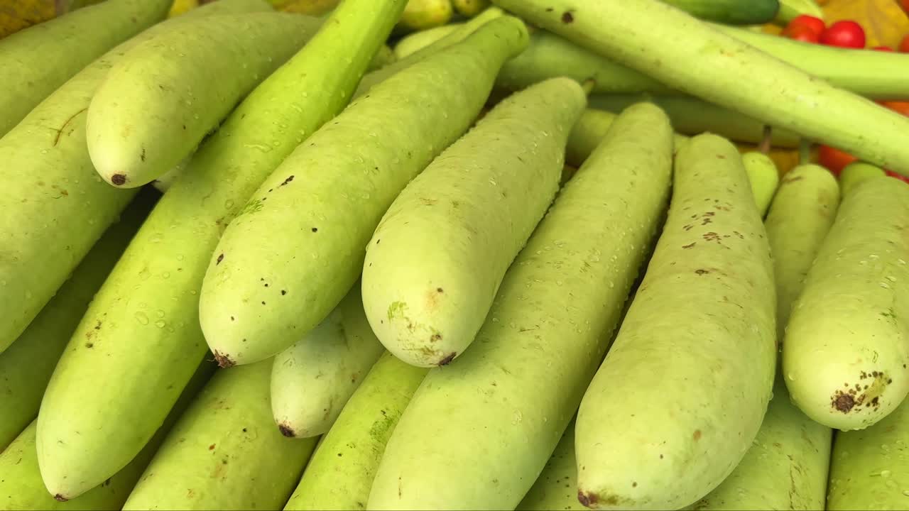 Fresh bottle gourd for sale in sbzi mandi, Farmers market in india
