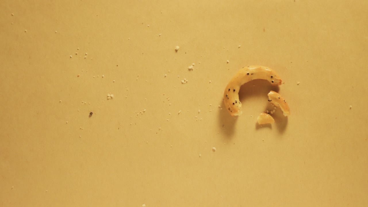 건조한 고리 모양의 크래커의 애니메이션