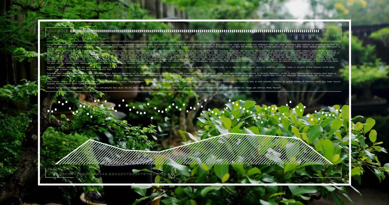 White panel appearing over bonsai shrubs fading code animating dots morphing waveform for algorithm