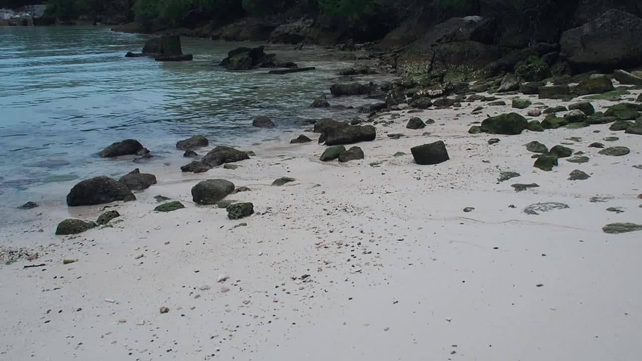 shelly bay beach es una de las playas ubicadas en la costa norte de bermudas