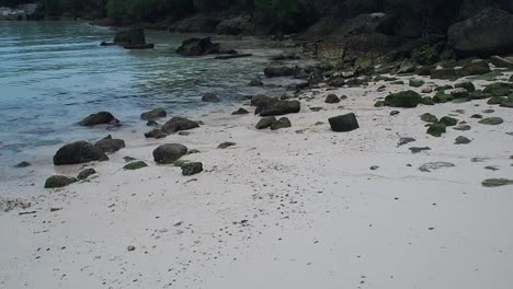 shelly bay beach is one of the beaches located on the north shore coastline of bermuda