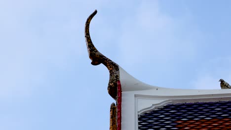 pigeon perched on ornate temple roof edge