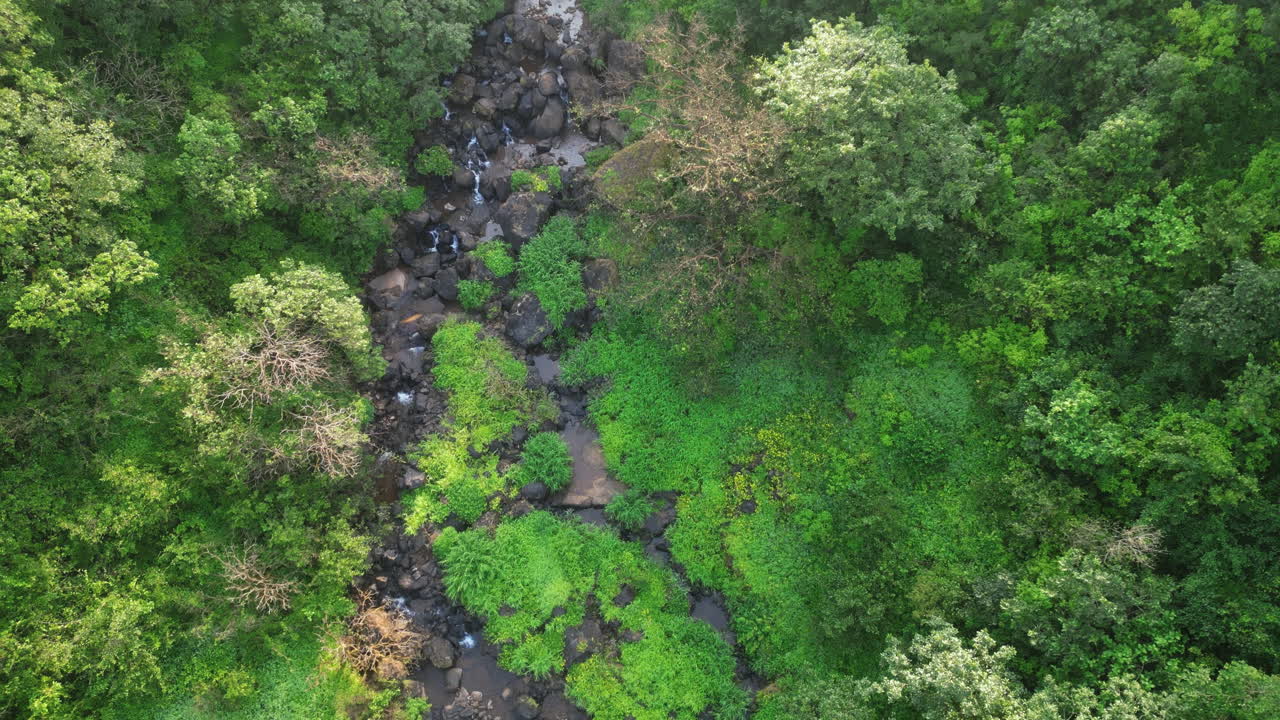 vista aérea de drones de la selva tropical verde de las cataratas de bahuli nashik maharashtra 4k