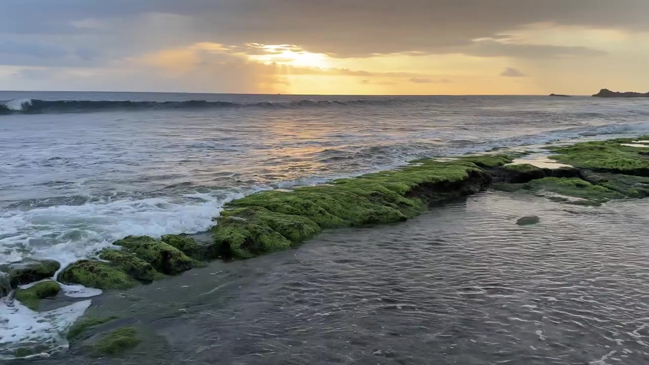 Onde dell'oceano che si infrangono su rocce muschiose al tramonto dorato.