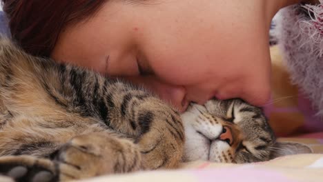 the female owner kisses a striped cat sleeping on the bed