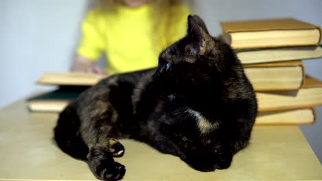 a dark cat is sitting on a table behind which a child is reading a book.