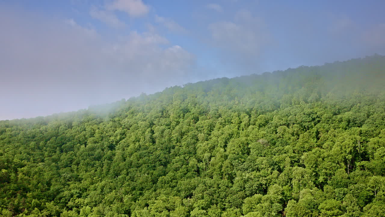 Drone footage highlighting the foggy Smoky Mountains of the USA