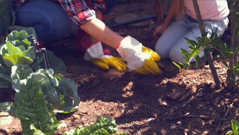 madre y hija lindas haciendo jardinería