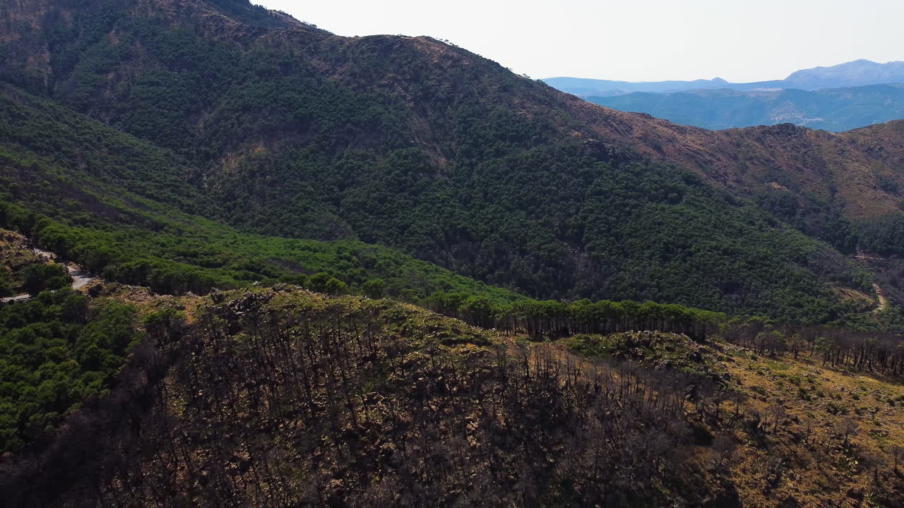 un dron vuela sobre un bosque quemado en las montañas cerca de estepona, españa