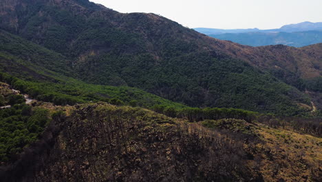 Eine-Drohne-Fliegt-über-Einen-Verbrannten-Wald-In-Den-Bergen-In-Der-Nähe-Von-Estepona,-Spanien