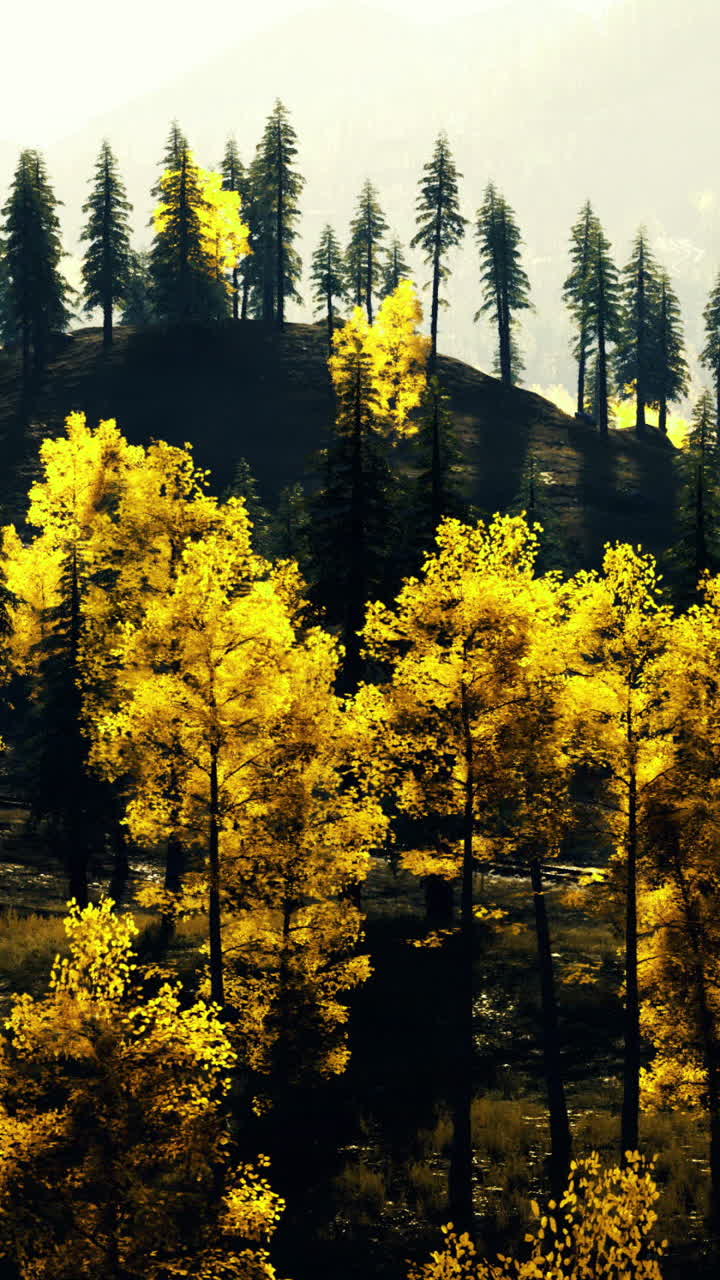Vibrant autumn foliage illuminates mountain landscape during sunset hours
