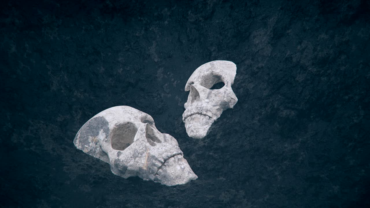 cráneos enterrados descubiertos en el suelo.