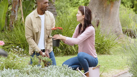 multiracial couple gardening together, planting flowers in backyard, enjoying outdoor activity
