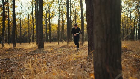 A-male-athlete-in-a-black-sports-uniform-runs-between-the-trees-covered-in-brown-leaves-and-dry-grass-in-the-fall-during-his-jog-on-a-sunny-day.-Happy-man-on-a-morning-jog-in-autumn