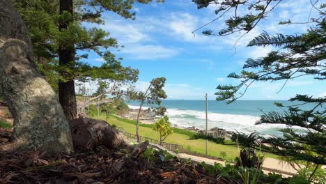 mirando a través de los pinos a la playa y al mar en mooloolaba en la costa del sol, queensland