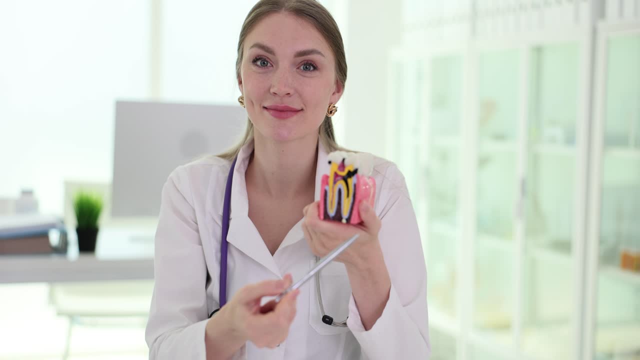 Female Dentist Explaining Dental Anatomy Using a Model