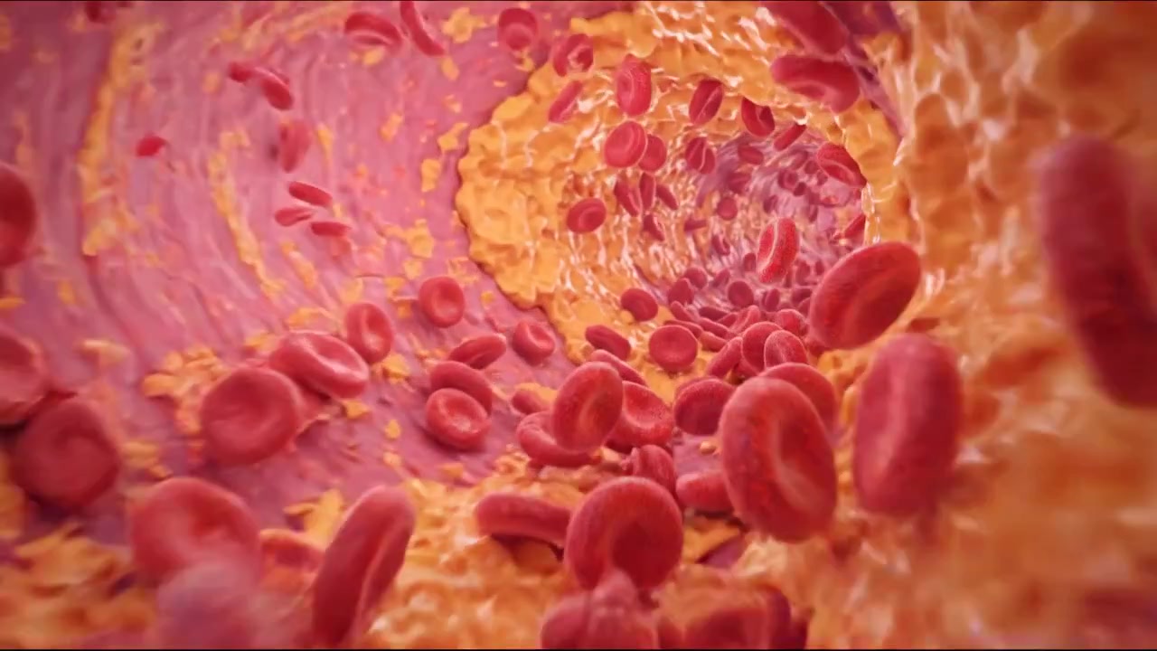 Globuli rossi che scorrono all'interno di un vaso sanguigno dettagliato in un filmato scientifico dettagliato