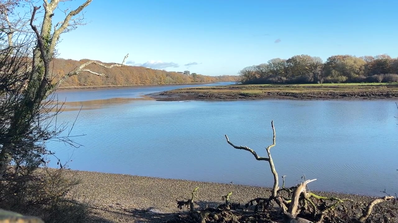 Schilderachtig uitzicht op de monding van de rivier de Hamble in Manor Farm Country Park in Hampshire, Engeland. Drijfhout ligt langs de kustlijn onder een blauwe lucht, uitkijkend over kalm getijdenwater.