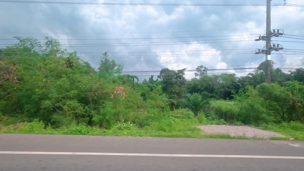 Lush greenery and rural landscapes along a roadside in Koh Samui, captured under cloudy skies with vibrant vegetation