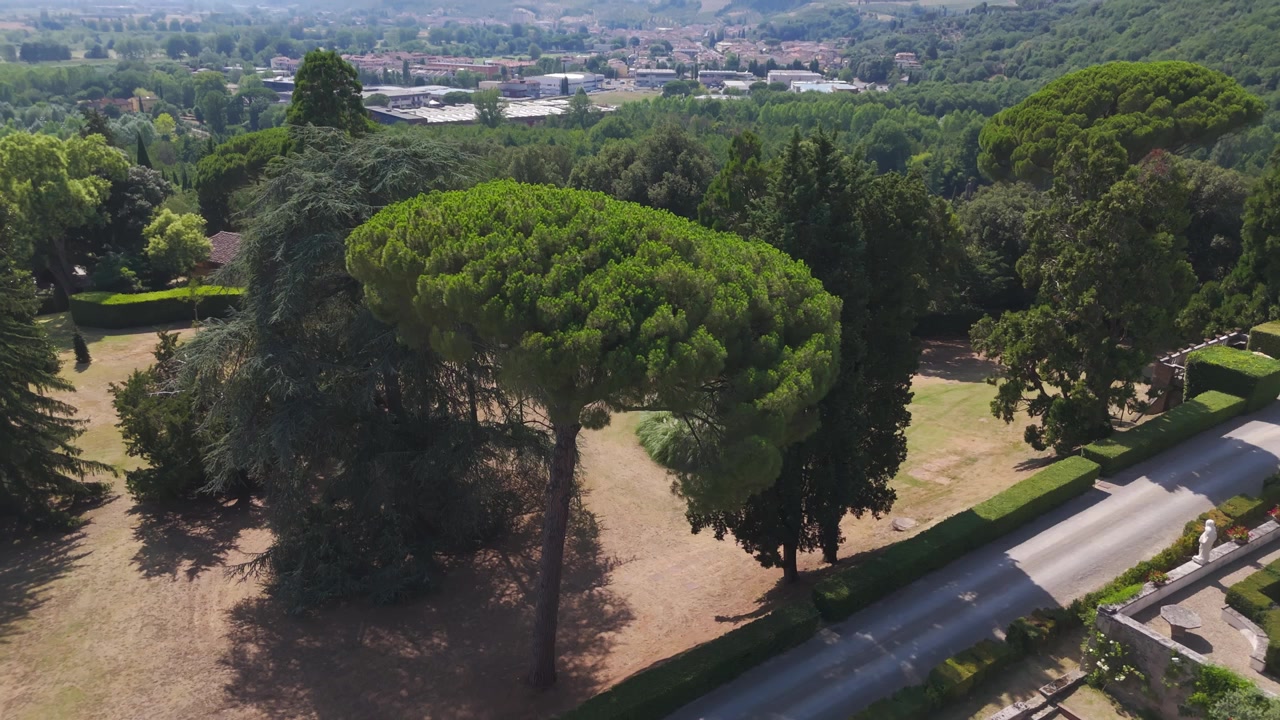 Drone che sorvola giardini curati di una villa con alti pini e colline lontane
