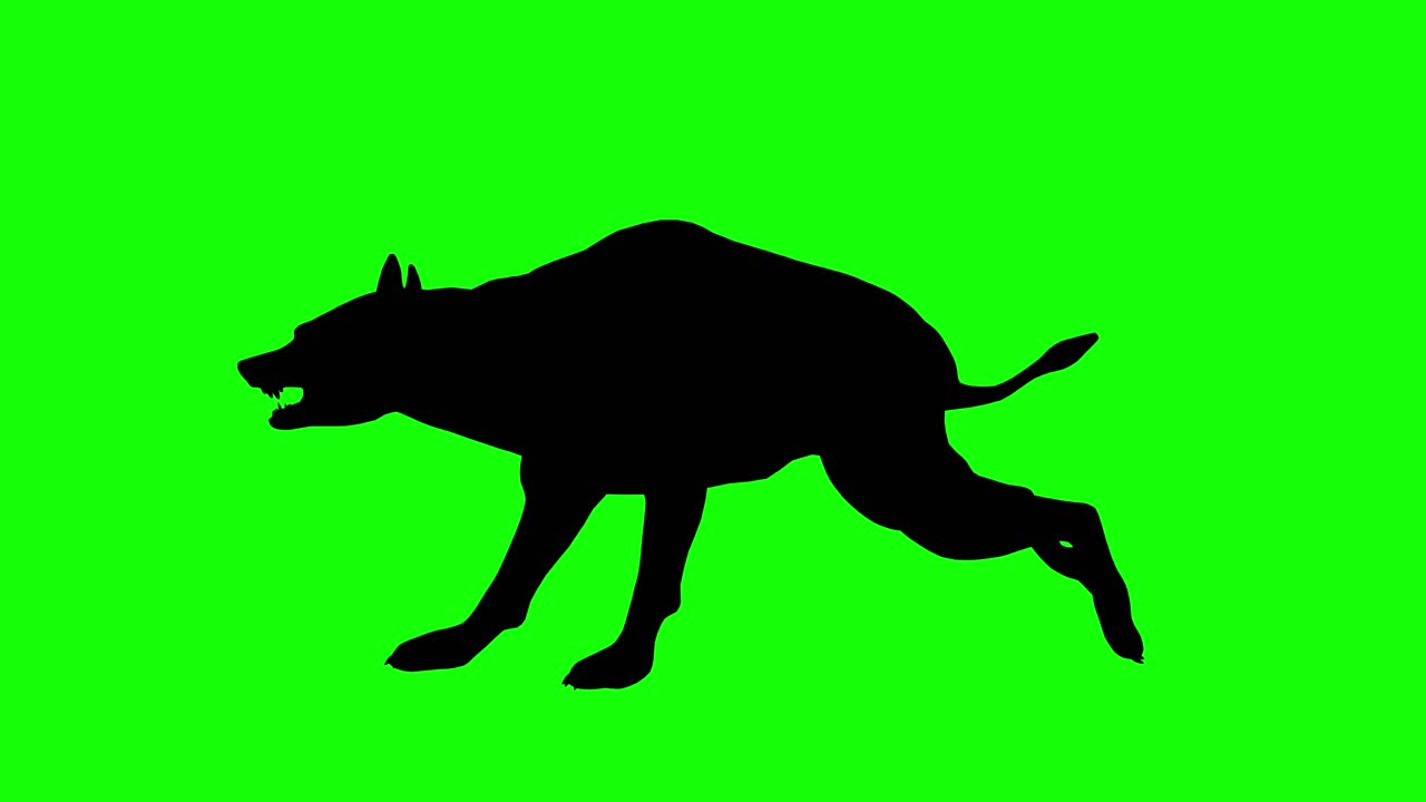 A silhouette of a hyena running on green screen, side view