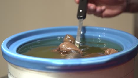 stirring pantyhose filled with marijuana in crockpot filled with liquid coconut and olive oil