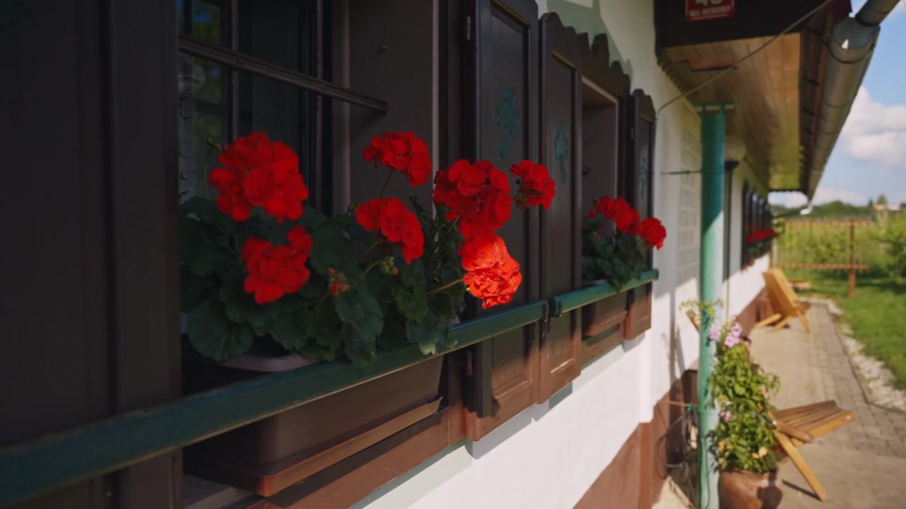 La chaude lumière du soleil baigne une charmante maison de campagne ornée de géraniums rouges vifs, de volets rustiques et d'un jardin verdoyant luxuriant dans ces images de stock paisibles