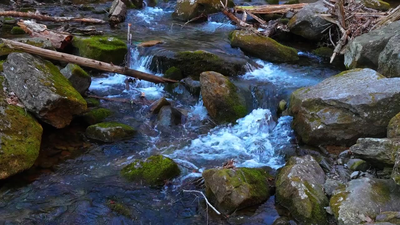Frisk bjergstrøm bruser over mosbegroede sten i skoven. Hurtigt strømmende vand fra en bæk kaskader over mosbegroede sten og træstammer ved Mount Tammany Delaware Water Gap