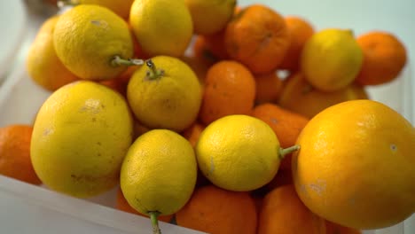 Tray of Lemons and Oranges in the Table