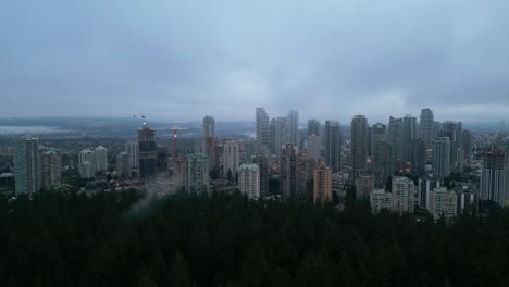 aerial view of urban skyline framed by lush foliage