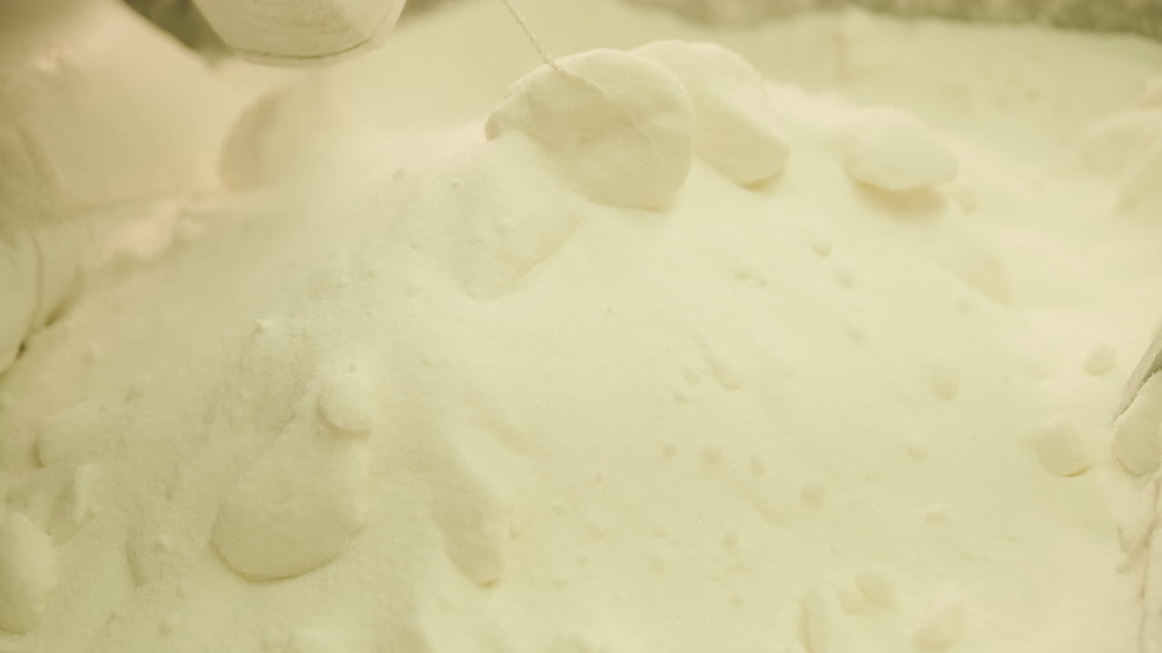 Sugar Processing Facility