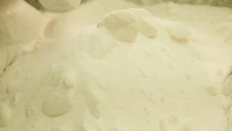 sugar processing facility