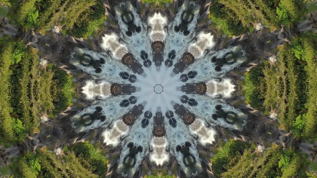 caleidoscopio geométrico patrón animado resumen naturaleza