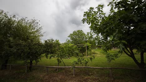 countryside near tuscania - time lapse