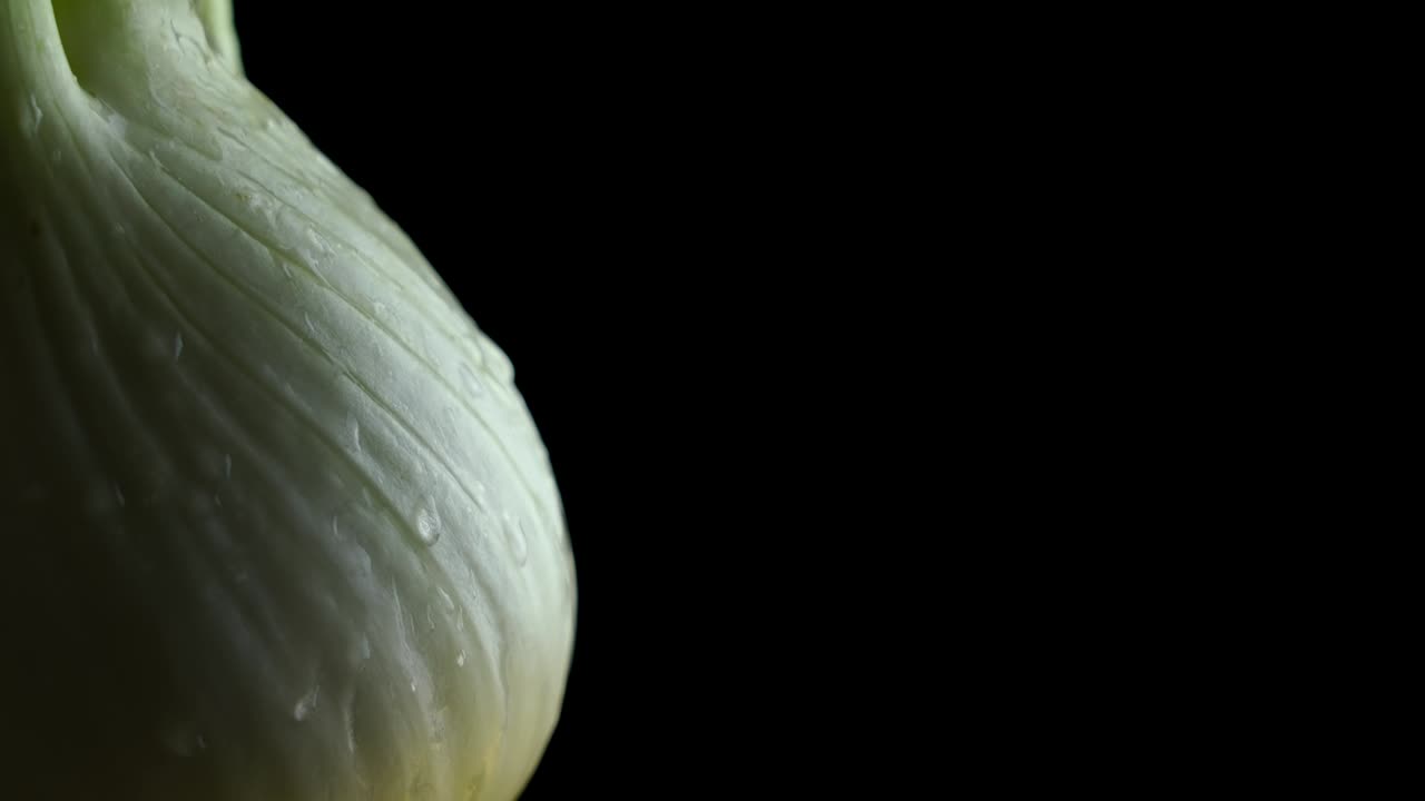 Fennel root with water drops turns on black background