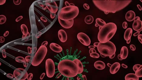animación digital de la estructura del adn y la célula de covid-19 sobre los vasos sanguíneos contra un fondo rojo