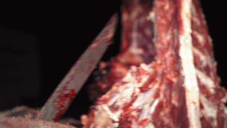 hunter cuts guts out of legal deer kill hanging from a tree at night