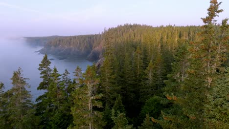 breathtaking aerial through tree tops reveals maine coast fog and sunrise glow