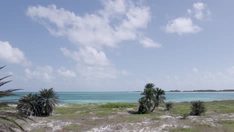 vista aérea de las palmeras en la isla de los rocas