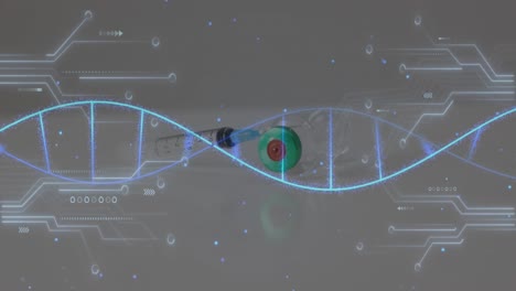 Animation-of-dna-strand-diagrams-and-network-over-syringe-with-needle