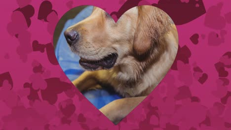 heart shaped cutout over close up of a dog against heart icons floating against pink background