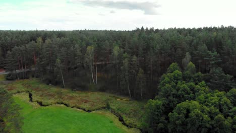 aerial shot of a small creek in glacial valley in wdzydze kiszewskie, poland.