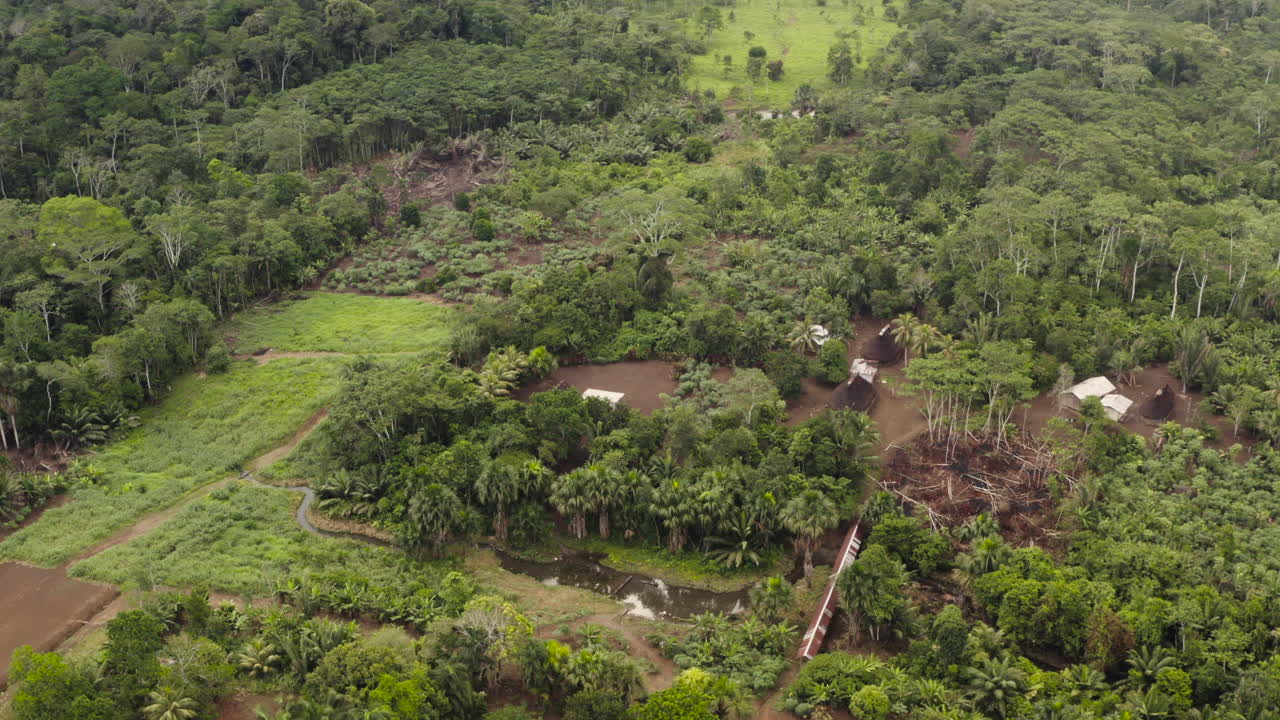 Aerial shot, Amazon community, Ecuador.
