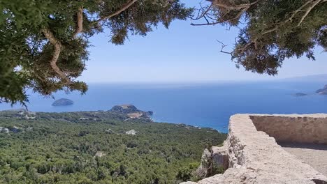 Looking-through-a-little-tree-at-an-exotic-island,-Camera-pulling-out-from-the-tree