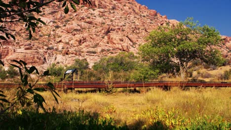 the boardwalk view at red springs