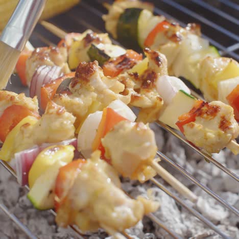 delicious chicken and vegetable kabobs on grill