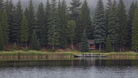 tranquil scene of a wooden lakeside cabin nestled within a dense pine forest, enveloped by a gentle mist, creating a serene and secluded retreat