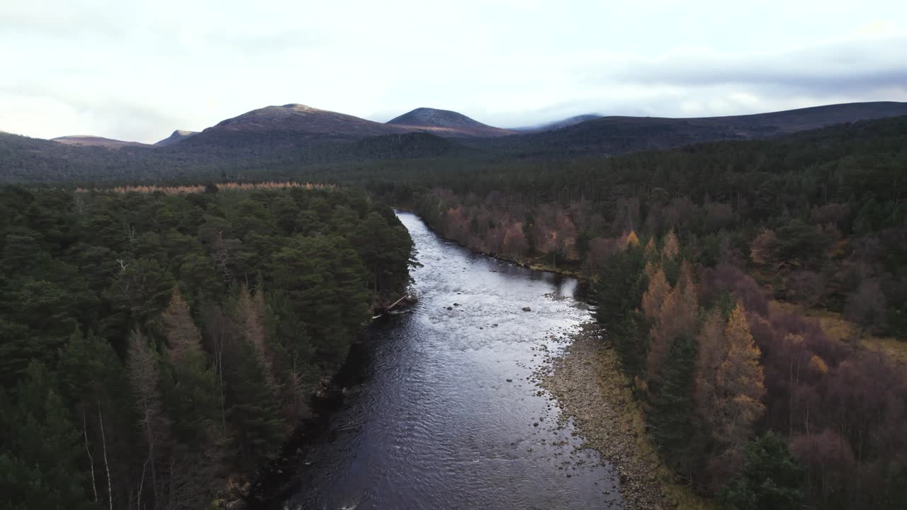 Aerial drone footage above a river and forest revealing a mountain landscape in the Cairngorms, Scotland with Scots pine, birch and larch trees on the river banks near Braemar in autumn
